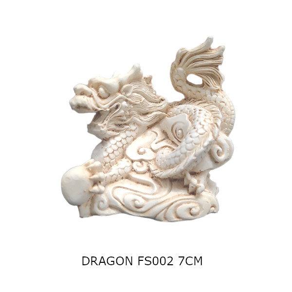 Dragon fs02 Dragon FS002