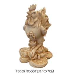 FS009