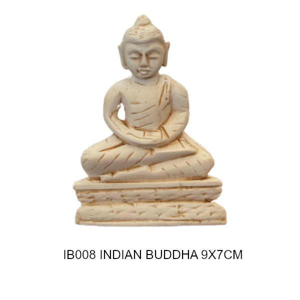 IB008 IB008