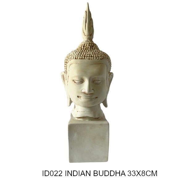 IB022 IB022