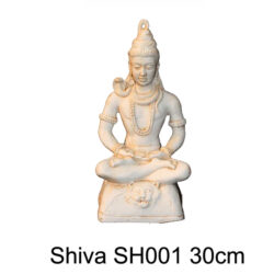 Shiva SH001