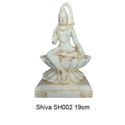 Shiva SH002