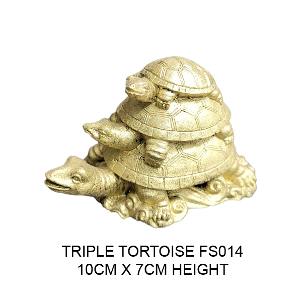 Triple-tortoise-FS014 Triple Toitoise FS014