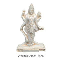 Vishnu VS001