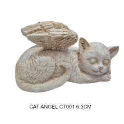 CAT CT001