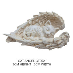 CAT CT002