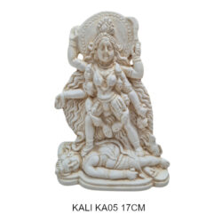 KALI KA05
