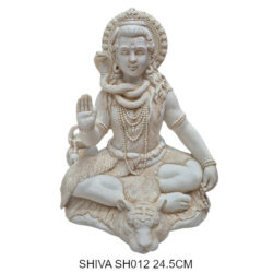 SHIVA SH012