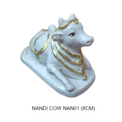 NAN01